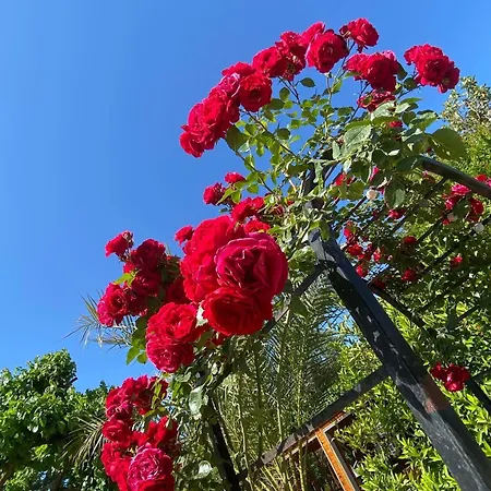 게스트하우스 플라즈