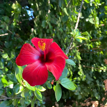 게스트하우스 플라즈