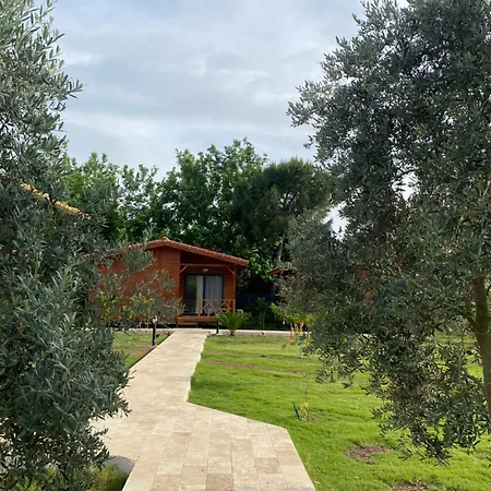 게스트하우스 플라즈