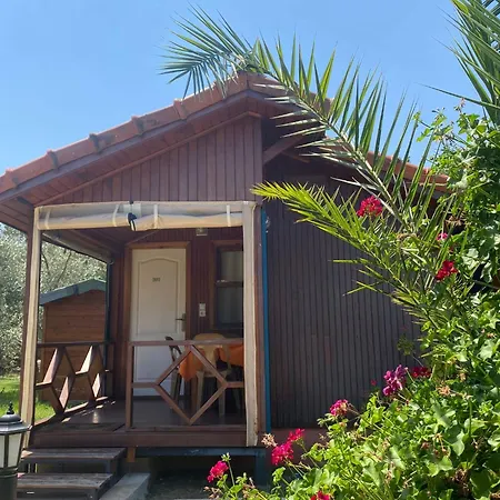 게스트하우스 플라즈 4*