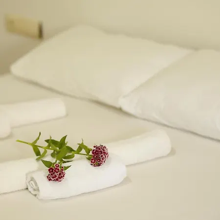Plaj Guest house