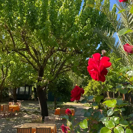 Plaj Guest house 3*