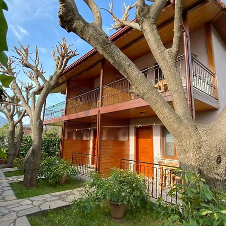 Guest house Plaj 3*