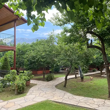 Plaj Guest house