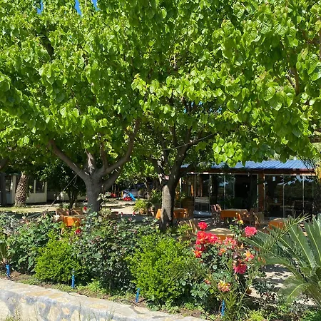 Guest house Plaj