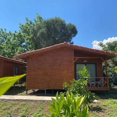 Plaj Guest house 3*