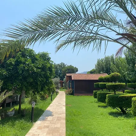 Guest house Plaj