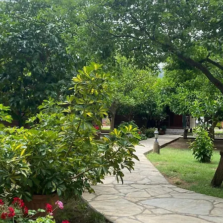 Guest house Plaj 3*