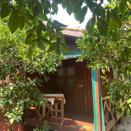 Guest house Plaj Cirali