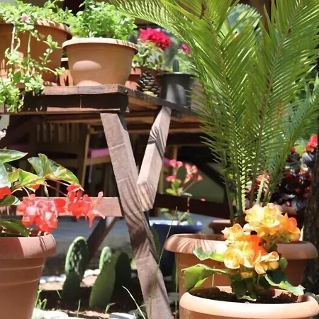 Vendégház Plaj Çıralı