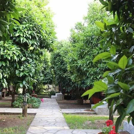 Plaj Penzion Çıralı