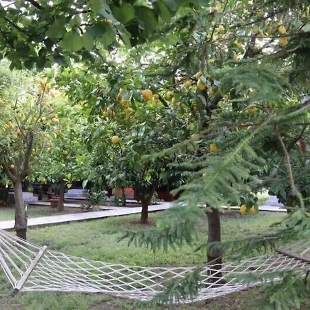 Konukevi Plaj 4*