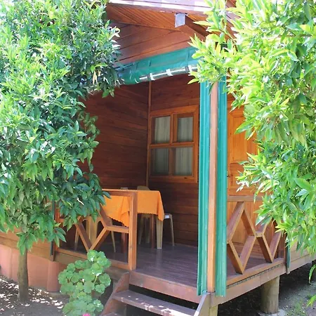 Guest house Plaj