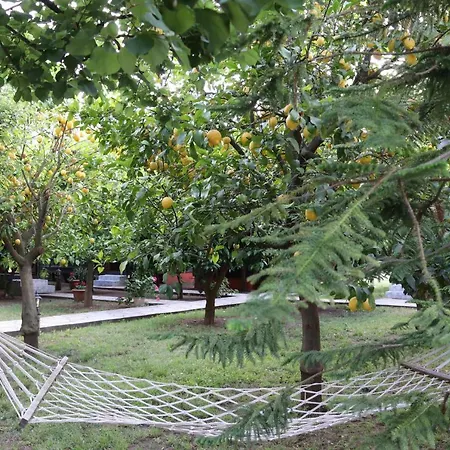 Plaj Guest house