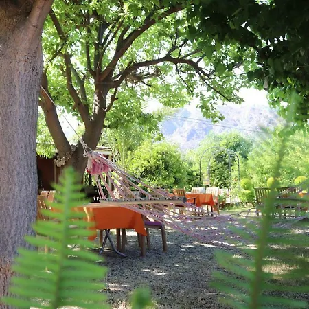 Plaj Guest house 3*
