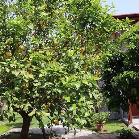 Plaj 4* Cirali