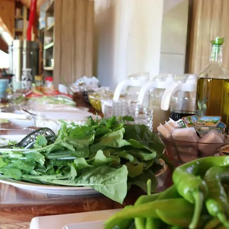 Plaj Guest house