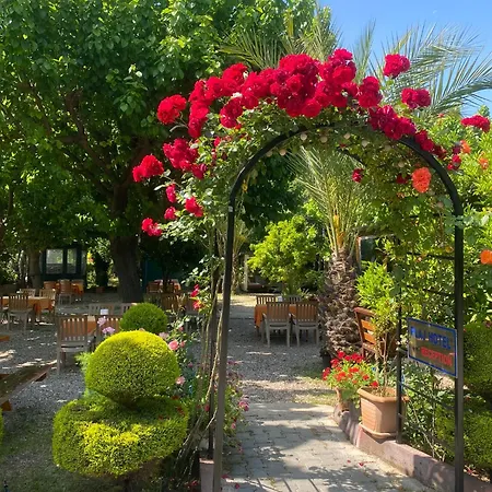 Plaj Çıralı