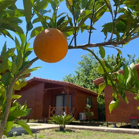 Plaj Πανσιόν Çıralı