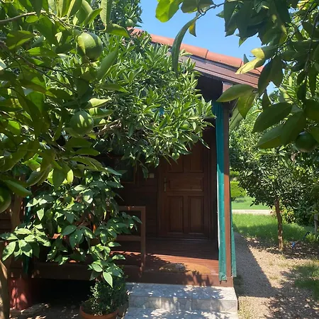 Plaj Πανσιόν 4*