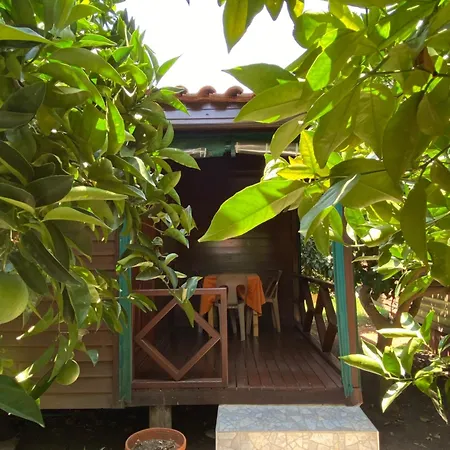 Plaj Πανσιόν 4*