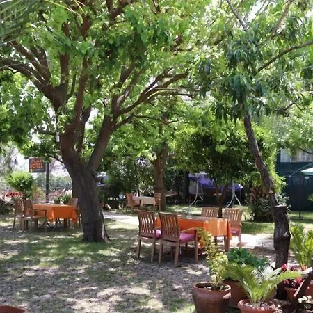 Πανσιόν Plaj