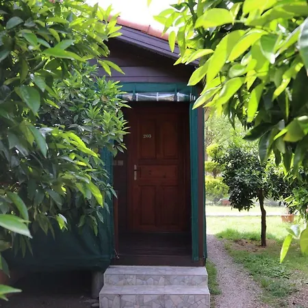 Plaj Konukevi Çıralı